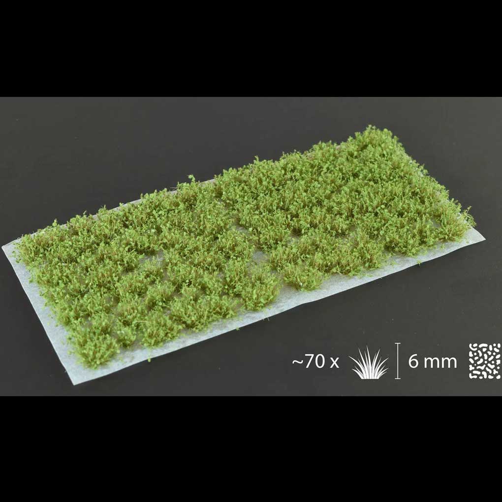 s414329983377326361_p2553_i358_w1020-2.jpeg Buesche Dark Green Shrubs – Bild 1