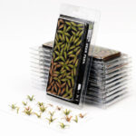 Laser Pflanzen Hirschfarn